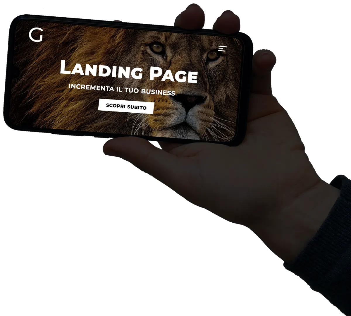 Sviluppo Landing Page